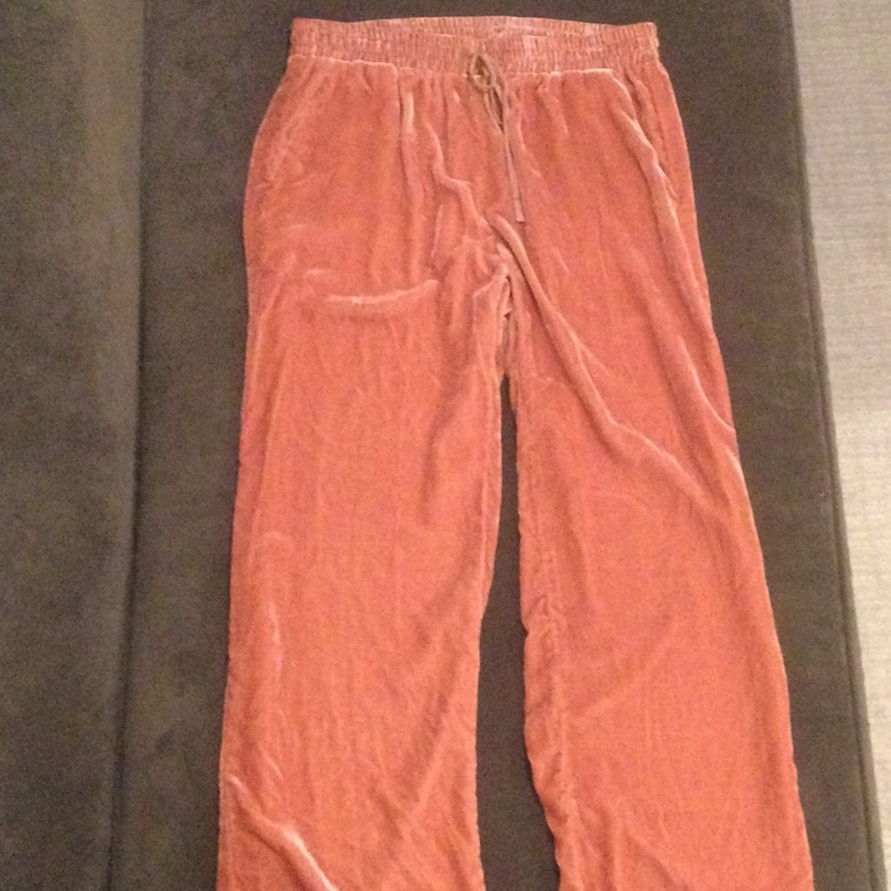 Johnny Was the Jade Collection velour pants